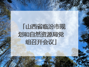 山西省临汾市规划和自然资源局党组召开会议