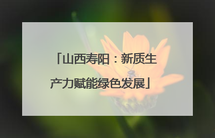 山西寿阳：新质生产力赋能绿色发展