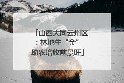 山西大同云州区：林地生“金” 助农增收前景旺