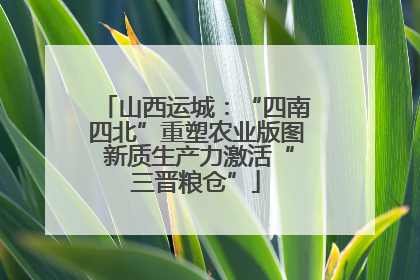 山西运城：“四南四北”重塑农业版图 新质生产力激活“三晋粮仓”