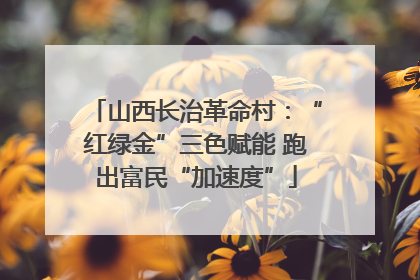 山西长治革命村：“红绿金”三色赋能 跑出富民“加速度”