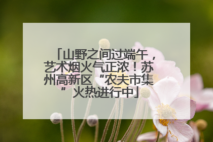 山野之间过端午，艺术烟火气正浓！苏州高新区“农夫市集”火热进行中