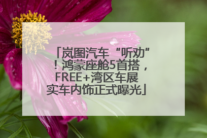 岚图汽车“听劝”！鸿蒙座舱5首搭，FREE+湾区车展实车内饰正式曝光
