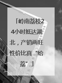 岭南荔枝24小时抵达湖北，产销两旺性价比真“给荔”