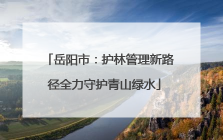 岳阳市：护林管理新路径全力守护青山绿水