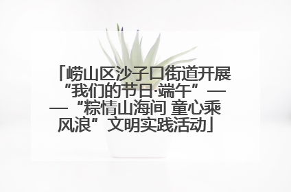 崂山区沙子口街道开展“我们的节日·端午”——“粽情山海间 童心乘风浪”文明实践活动