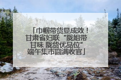巾帼带货显成效！甘肃省妇联“陇姐带甘味 陇货优品位”端午集市圆满收官