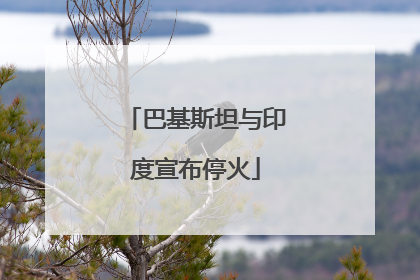 巴基斯坦与印度宣布停火