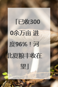 已收3000余万亩 进度96%！河北夏粮丰收在望