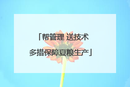 帮管理 送技术 多措保障夏粮生产