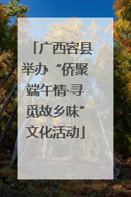 广西容县举办“侨聚端午情·寻觅故乡味”文化活动