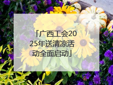 广西工会2025年送清凉活动全面启动