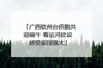 广西钦州台侨胞共迎端午 看运河建设感受家国强大
