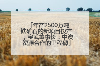 年产2500万吨铁矿石的新项目投产，宝武董事长：中澳资源合作的里程碑