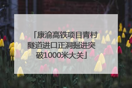 康渝高铁项目青村隧道进口正洞掘进突破1000米大关