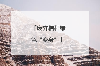 废弃秸秆绿色“变身”