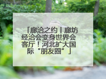廊洽之约丨廊坊经洽会变身世界会客厅！河北扩大国际“朋友圈”