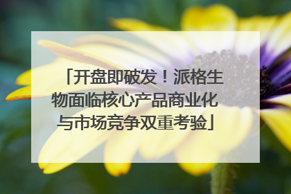 开盘即破发！派格生物面临核心产品商业化与市场竞争双重考验