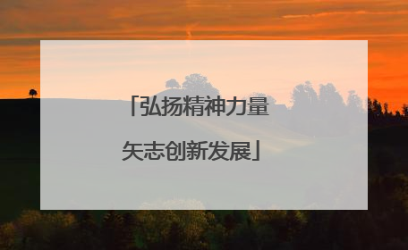 弘扬精神力量 矢志创新发展