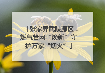 张家界武陵源区：燃气管网“焕新”守护万家“烟火”