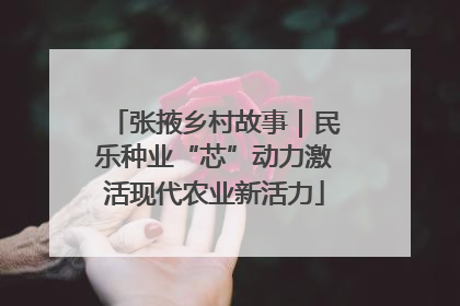 张掖乡村故事｜民乐种业“芯”动力激活现代农业新活力