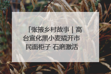 张掖乡村故事｜高台宣化黑小麦撬开市民面柜子 石磨激活村集体钱匣子