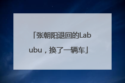 张朝阳退回的Labubu，换了一辆车