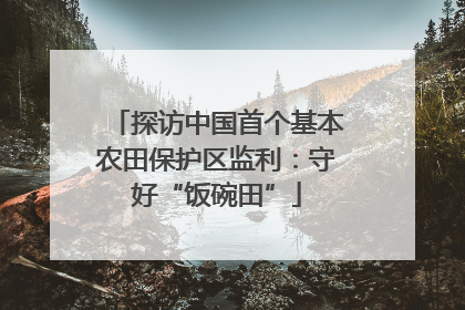 探访中国首个基本农田保护区监利：守好“饭碗田”
