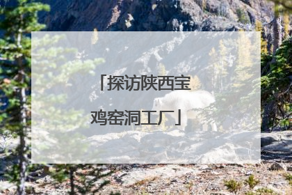 探访陕西宝鸡窑洞工厂