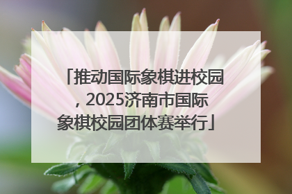 推动国际象棋进校园，2025济南市国际象棋校园团体赛举行