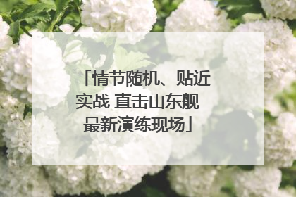 情节随机、贴近实战 直击山东舰最新演练现场