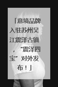 意境品牌入驻苏州吴江震泽古镇，“震泽四宝”对外发布！