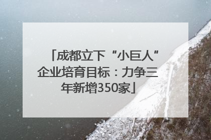 成都立下“小巨人”企业培育目标：力争三年新增350家