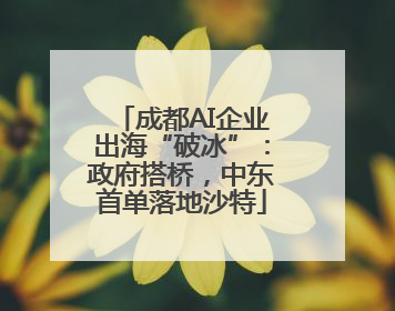 成都AI企业出海“破冰”：政府搭桥，中东首单落地沙特
