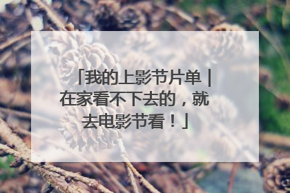 我的上影节片单｜在家看不下去的，就去电影节看！