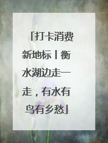 打卡消费新地标丨衡水湖边走一走，有水有鸟有乡愁