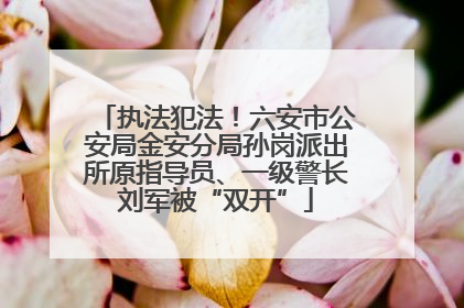 执法犯法！六安市公安局金安分局孙岗派出所原指导员、一级警长刘军被“双开”