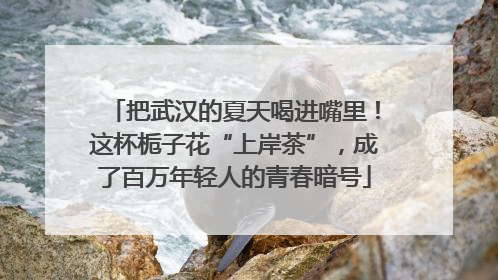 把武汉的夏天喝进嘴里！这杯栀子花“上岸茶”，成了百万年轻人的青春暗号