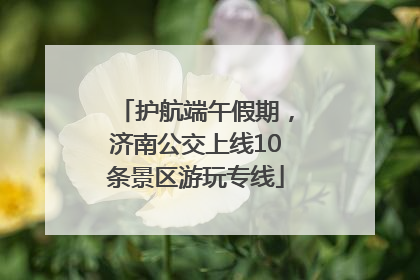 护航端午假期，济南公交上线10条景区游玩专线