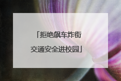 拒绝飙车炸街 交通安全进校园