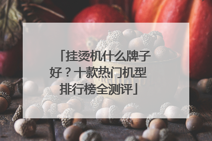 挂烫机什么牌子好？十款热门机型排行榜全测评