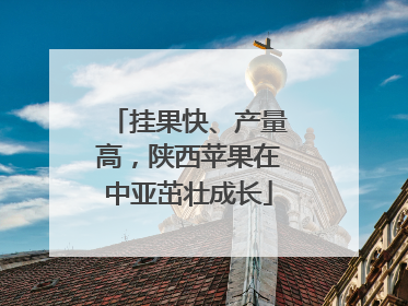 挂果快、产量高，陕西苹果在中亚茁壮成长