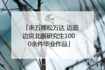 来五棵松万达 边逛边赏北服研究生1000余件毕业作品
