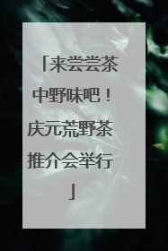 来尝尝茶中野味吧！庆元荒野茶推介会举行