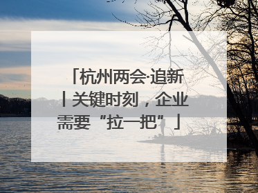 杭州两会·追新丨关键时刻，企业需要“拉一把”