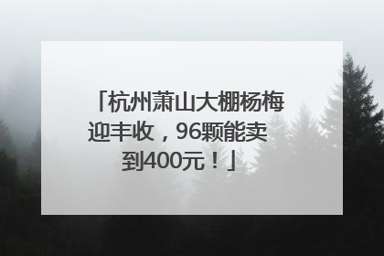 杭州萧山大棚杨梅迎丰收，96颗能卖到400元！