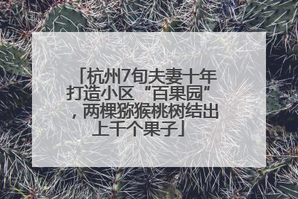 杭州7旬夫妻十年打造小区“百果园”，两棵猕猴桃树结出上千个果子