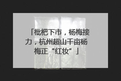 枇杷下市，杨梅接力，杭州超山千亩杨梅正“红妆”