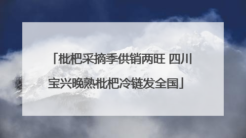 枇杷采摘季供销两旺 四川宝兴晚熟枇杷冷链发全国