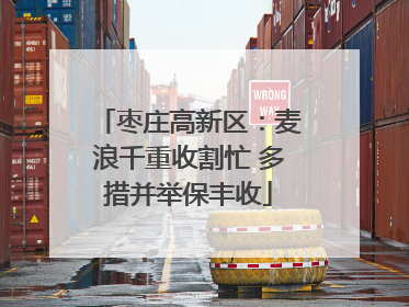 枣庄高新区：麦浪千重收割忙 多措并举保丰收